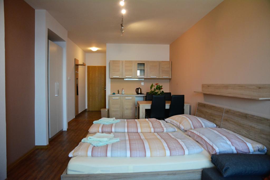 Pension Calla Dolní Vltavice Esterno foto